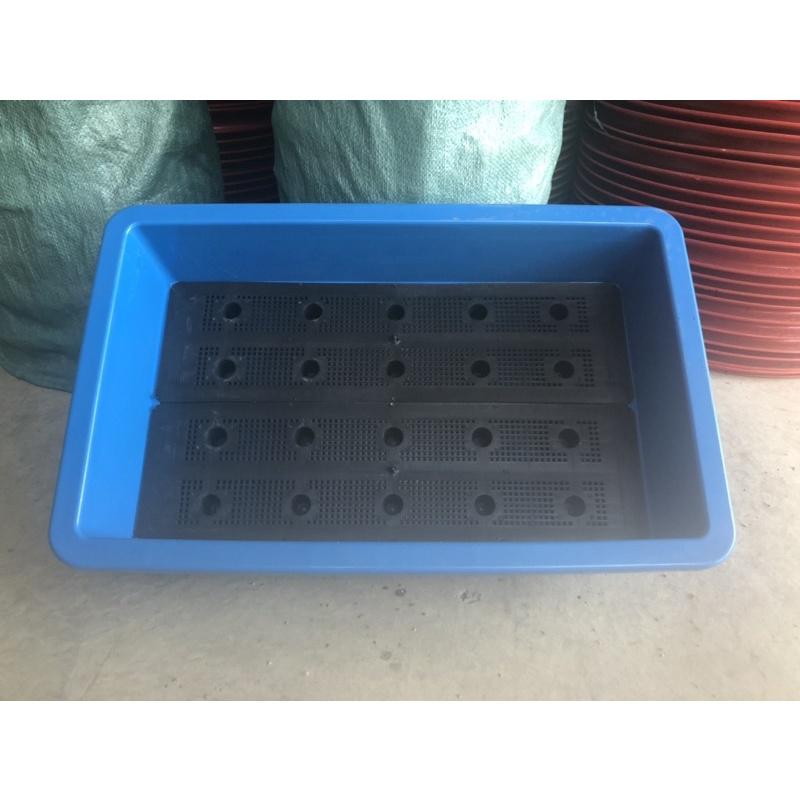 Máng trồng rau combo 3 máng MR3