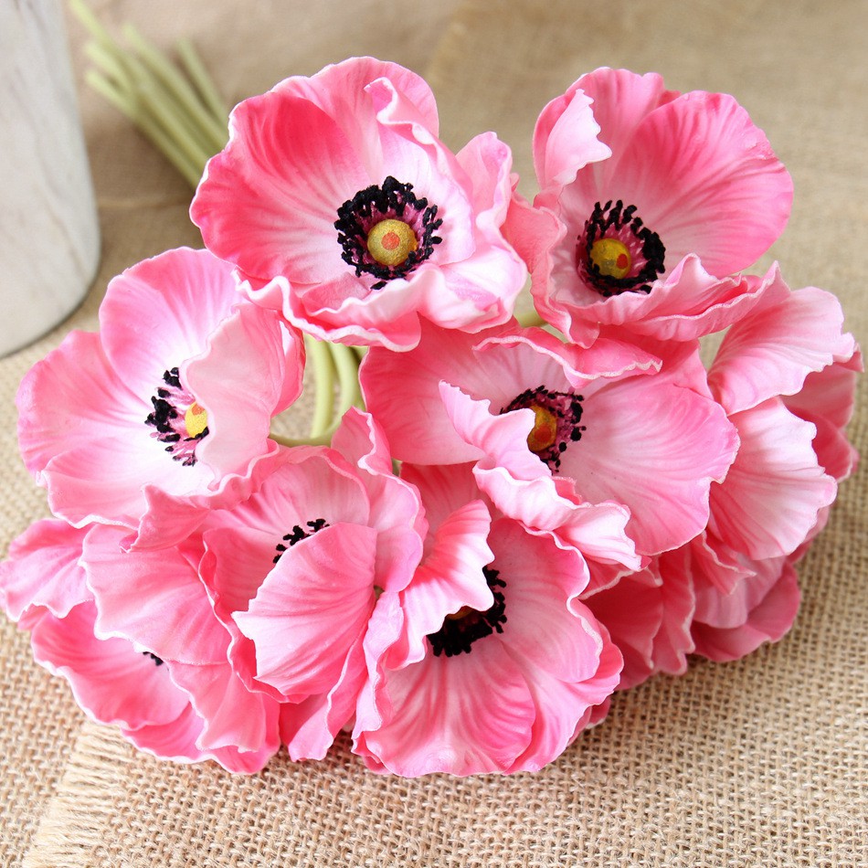 Hạt Giống Hoa poppy Loại mix màu dễ trồng kháng sâu bệnh Hoa Nở Siêu Đẹp