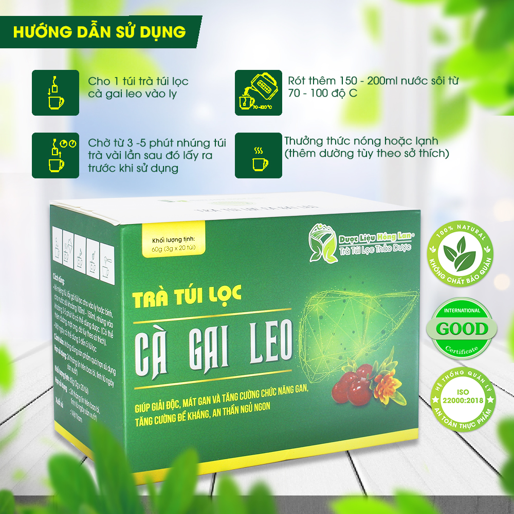 Trà Túi Lọc Cà Gai Leo 60g (20gói x 3g) Dược Liệu Hồng Lan