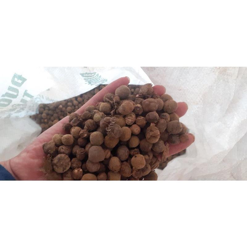 500 gram hạt tếch