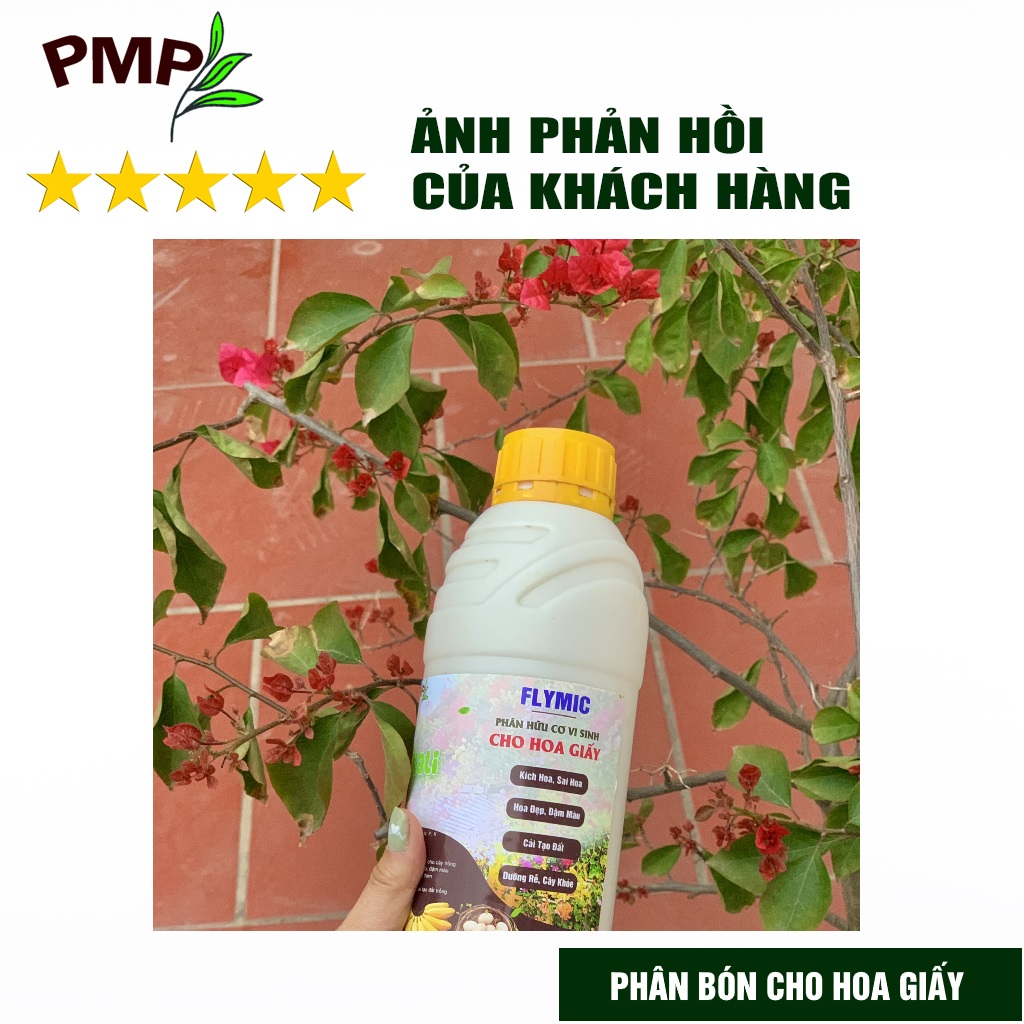 Phân bón hoa giấy Flymic PMP giúp kích hoa, lặp hoa nhanh, sai hoa, hoa nở đồng loạt chai 1 lít