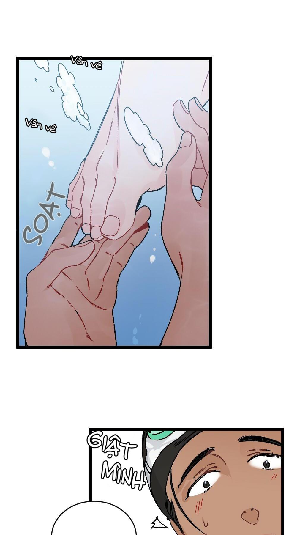 chăm sóc chapter 15 14