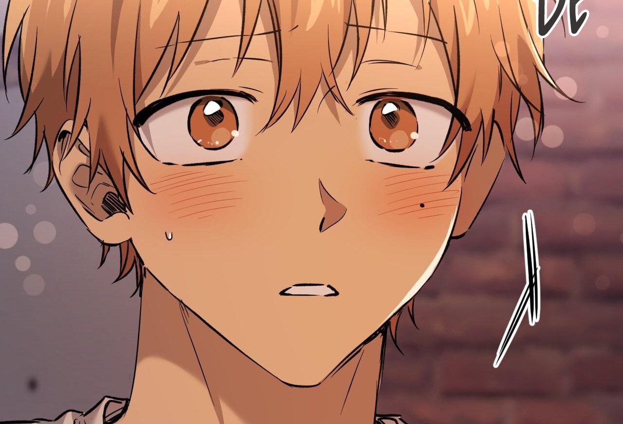 những chú thỏ của hapypy chapter 57 11