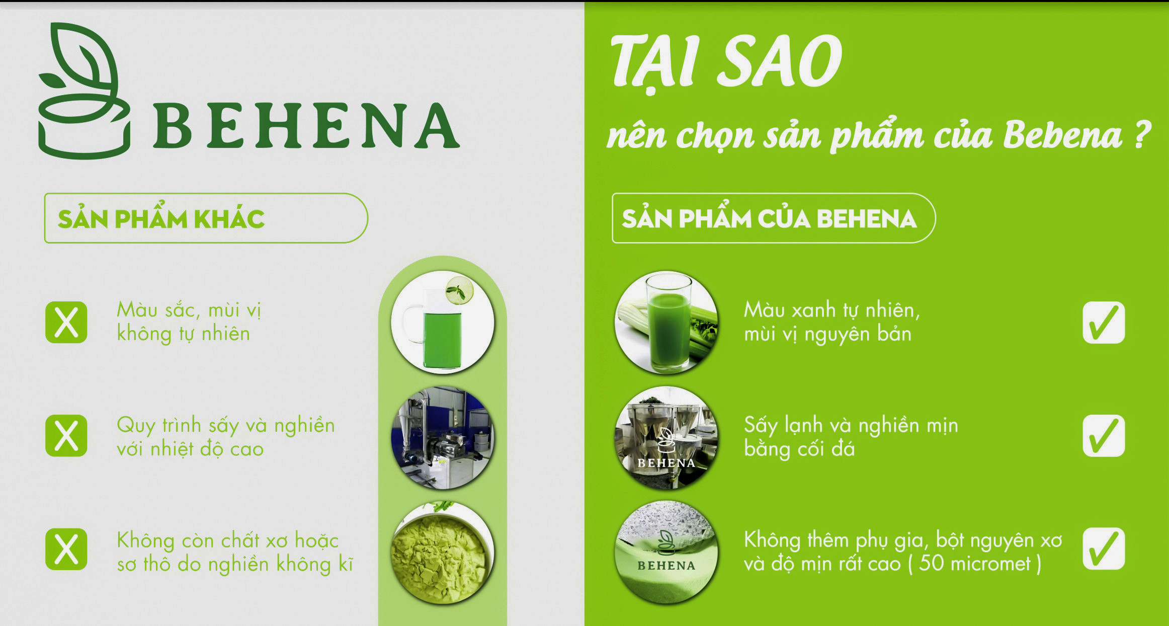 Bột dâu tây nguyên chất Behena, sấy lạnh, nghiền bằng cối đá theo công nghệ Nhật Bản, Gói 50g