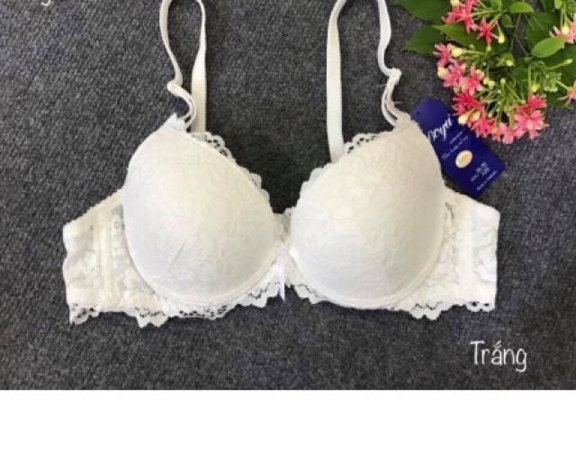 ÁO NGỰC REN MÚT ÉP VỪA-029L