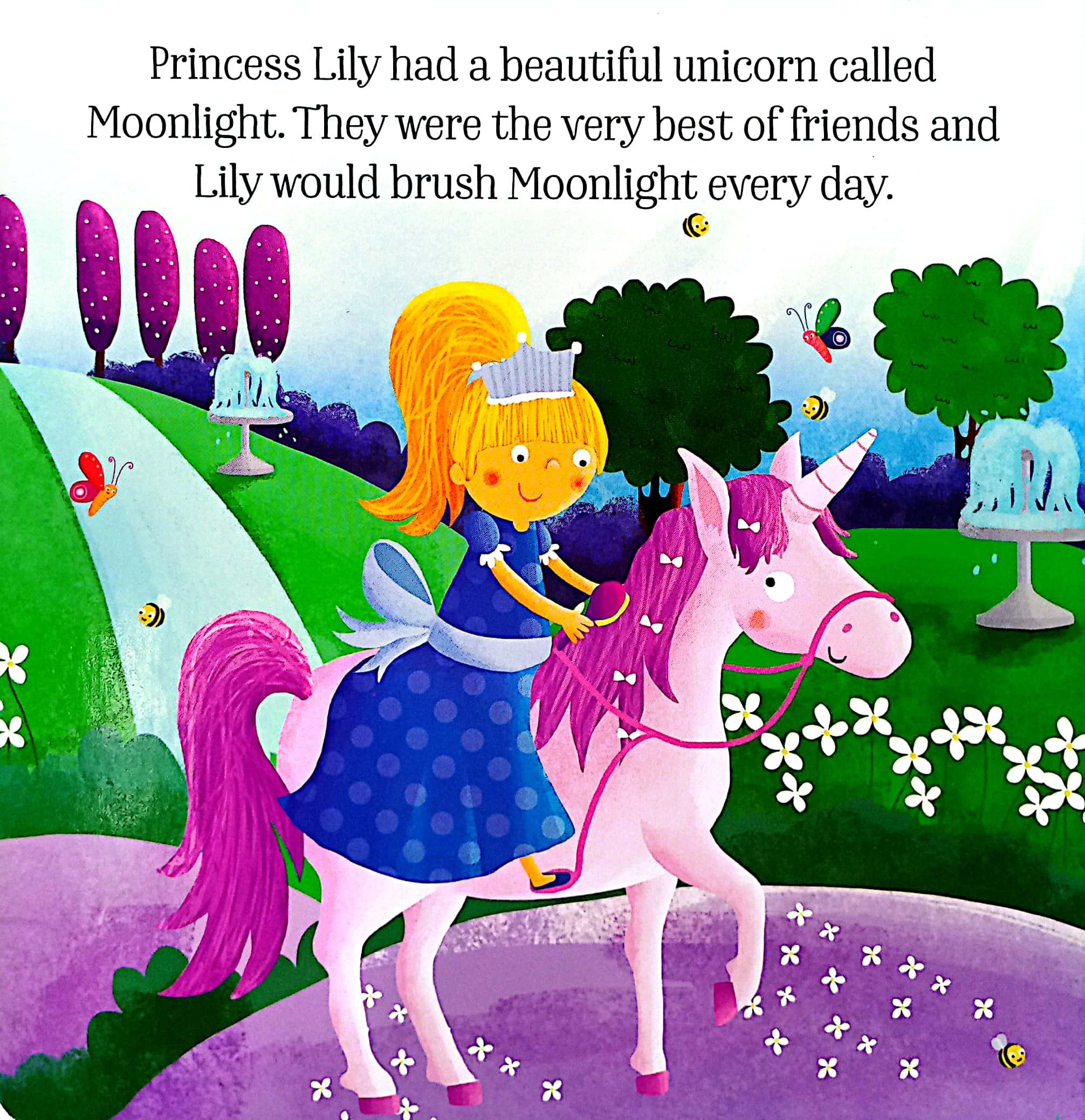 Unicorn And Princess Board: Princess Lily