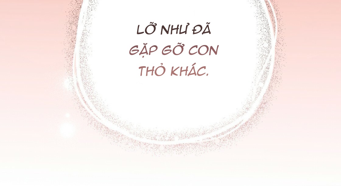 đàn thỏ của habibi chapter 23 209