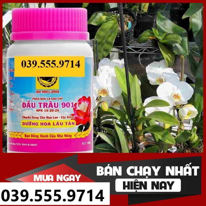 PHÂN BÓN ĐẦU TRÂU 901 DƯỠNG HOA LÂU TÀN