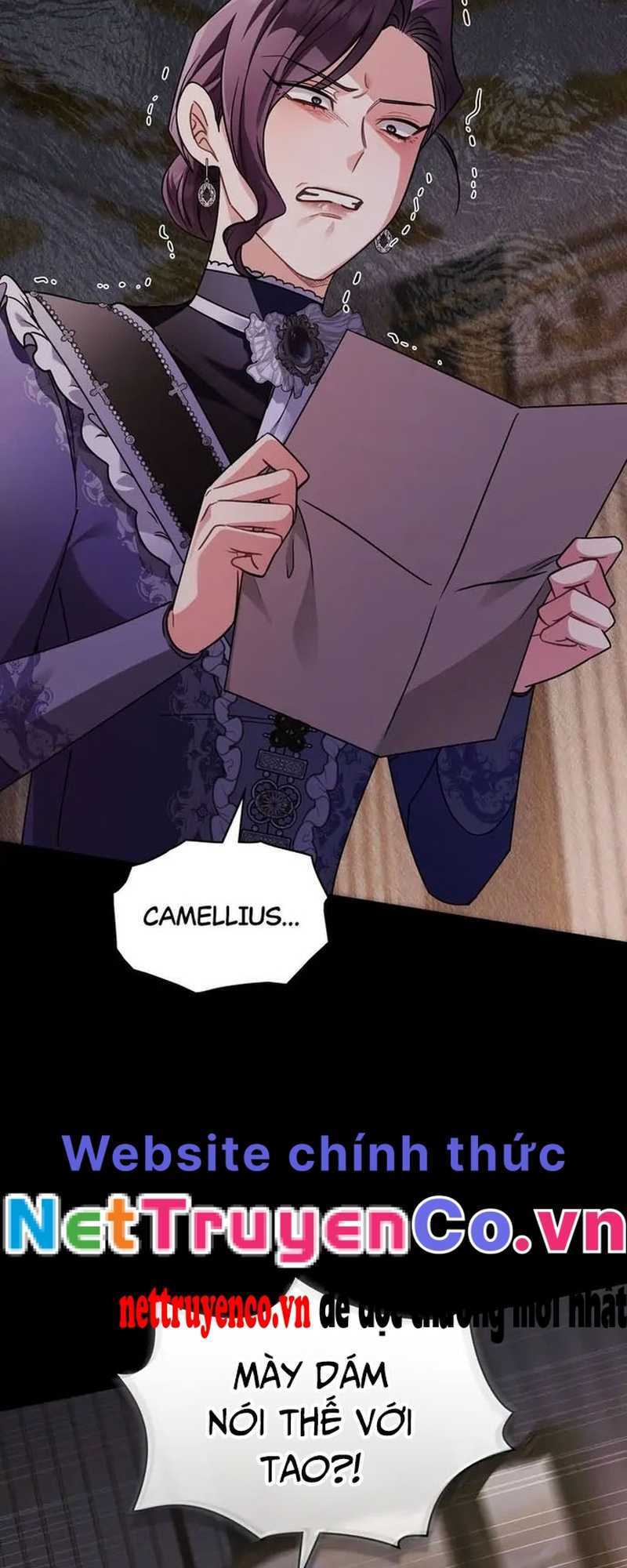 tìm lại camellia chapter 90 43