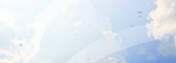 kĩ nguyên của anh hùng chapter 69.5 166