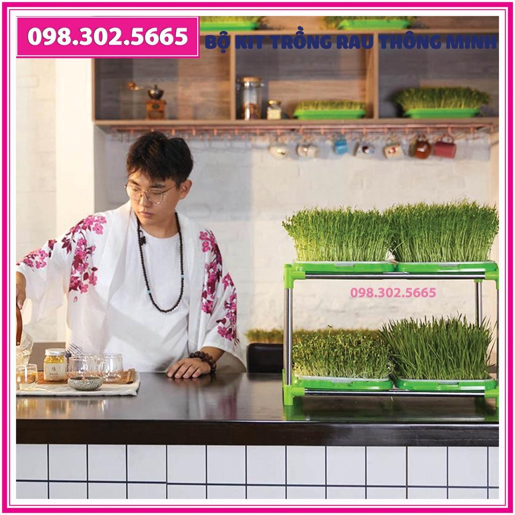 Bộ Kit trồng rau mầm 5 khay, 5 tầng bao gồm: Giá đỡ có 4 bánh + 5 Khay trồng + 500g Hạt giống + Vòi xịt nước.