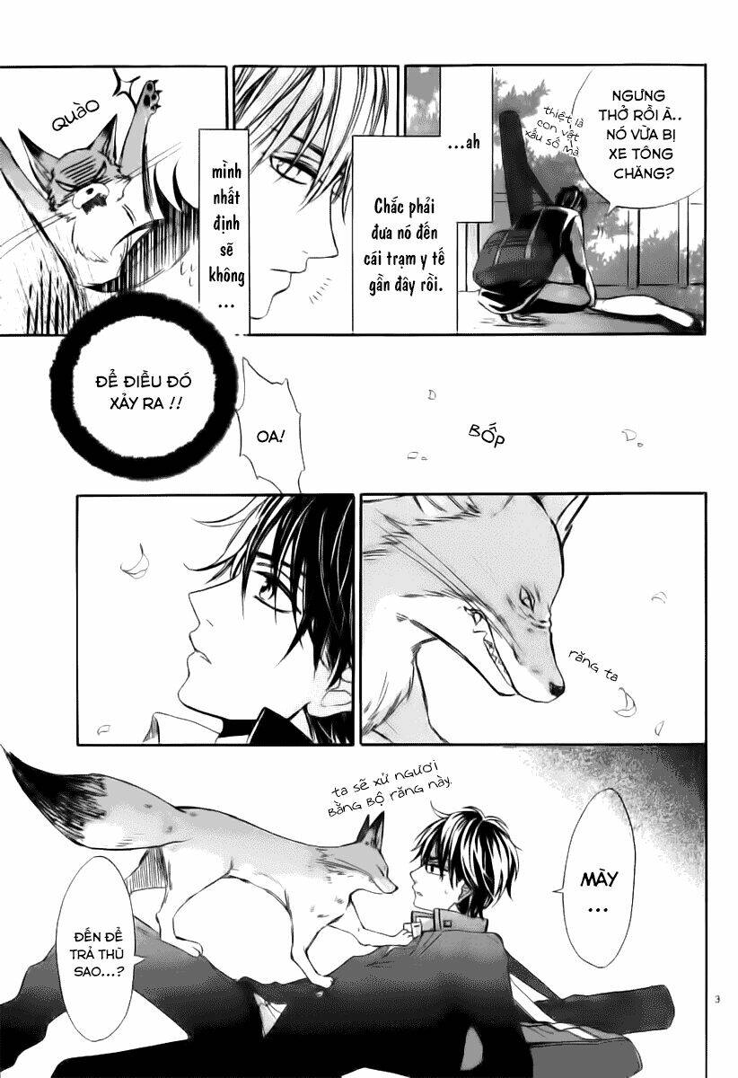 kitsune no yomeiri chapter 11 3