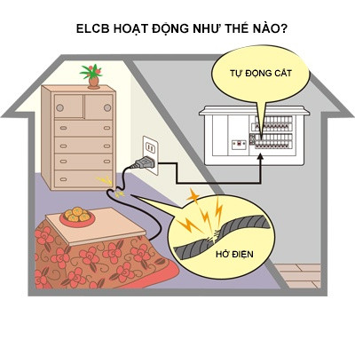 photo ELCB promotion1.jpg