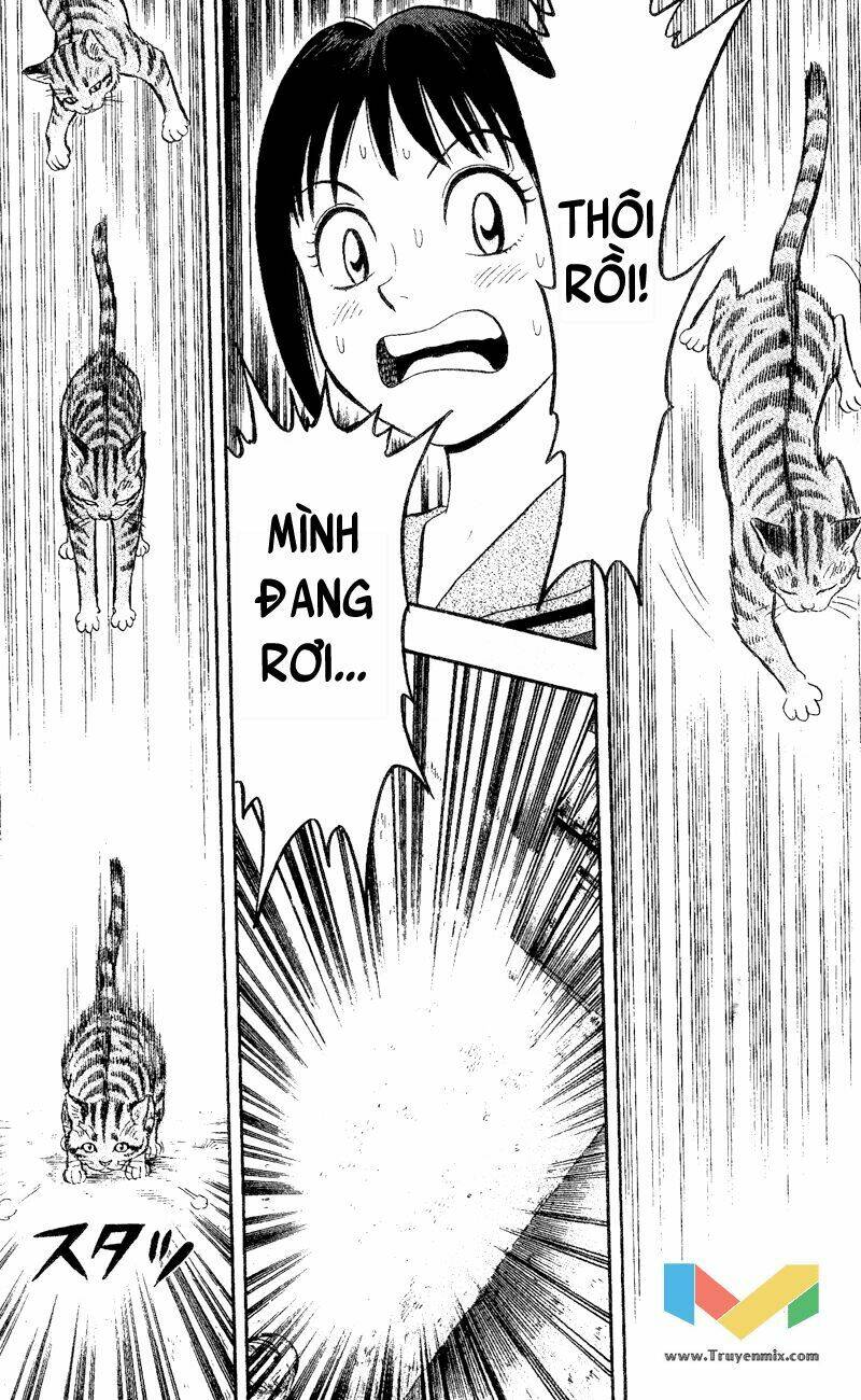 animal sense chapter 1 19