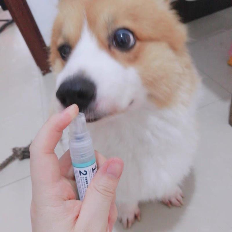 Phụ Kiện Cho Thú Cưng, Xịt Thơm Miệng Cho Chó Mèo_Fresh Friend