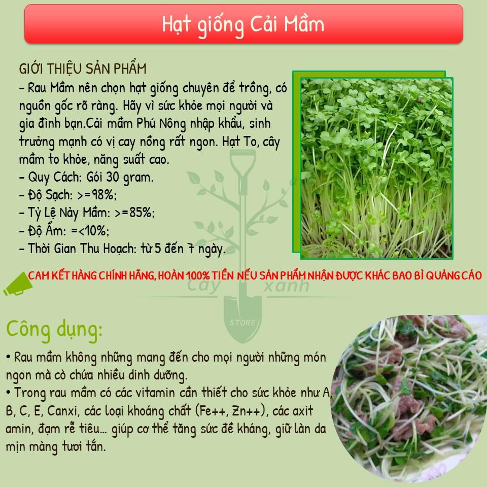 Hạt Giống Rau Mầm Cải Ngọt 30Gr Giàu Dinh Dưỡng - Phú Nông Seeds - Shop Đất sạch, Phân Bón, Hữu Cơ, Xơ Dừa