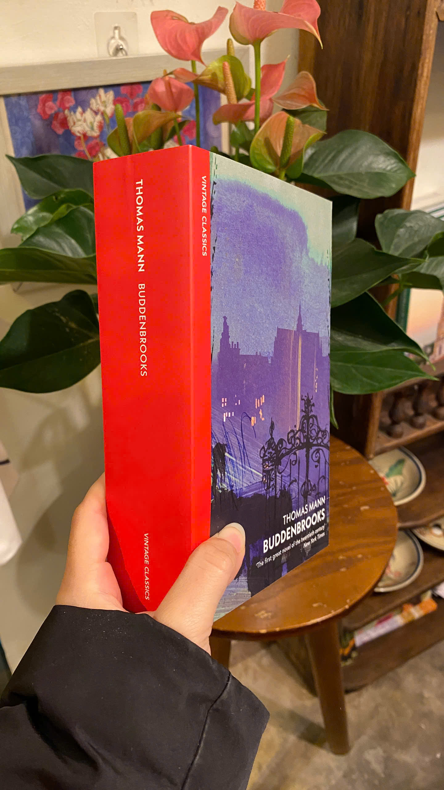 Sách - Buddenbrooks by Thomas Mann | Classics / Historical Fiction / Ngoại văn Kinh điển Nhập khẩu