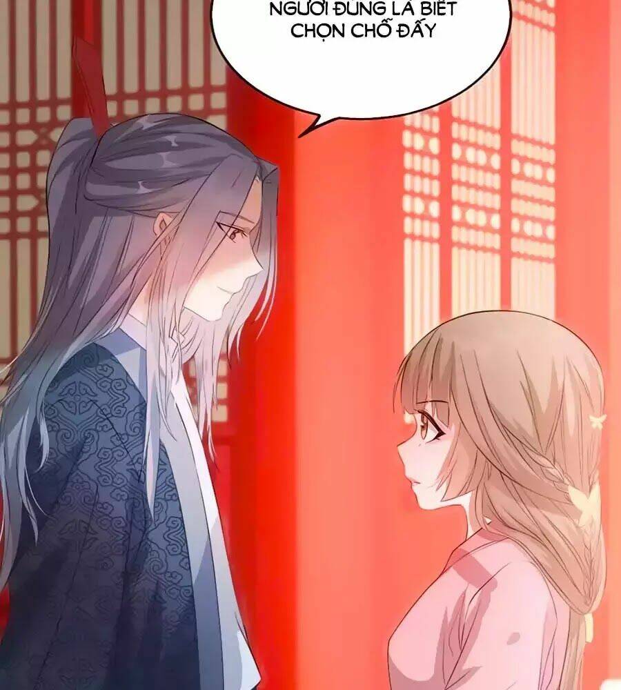 gian phi như thử đa kiều chapter 41 62