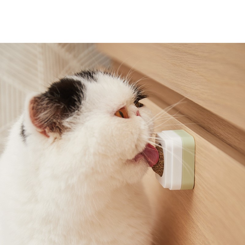 Cỏ catnip dạng viên gắn lên tường cho mèo chơi