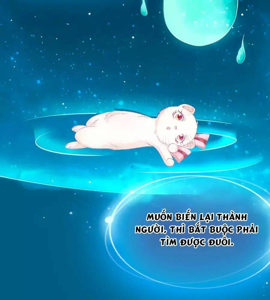 dưỡng thú vi phi chapter 4 14