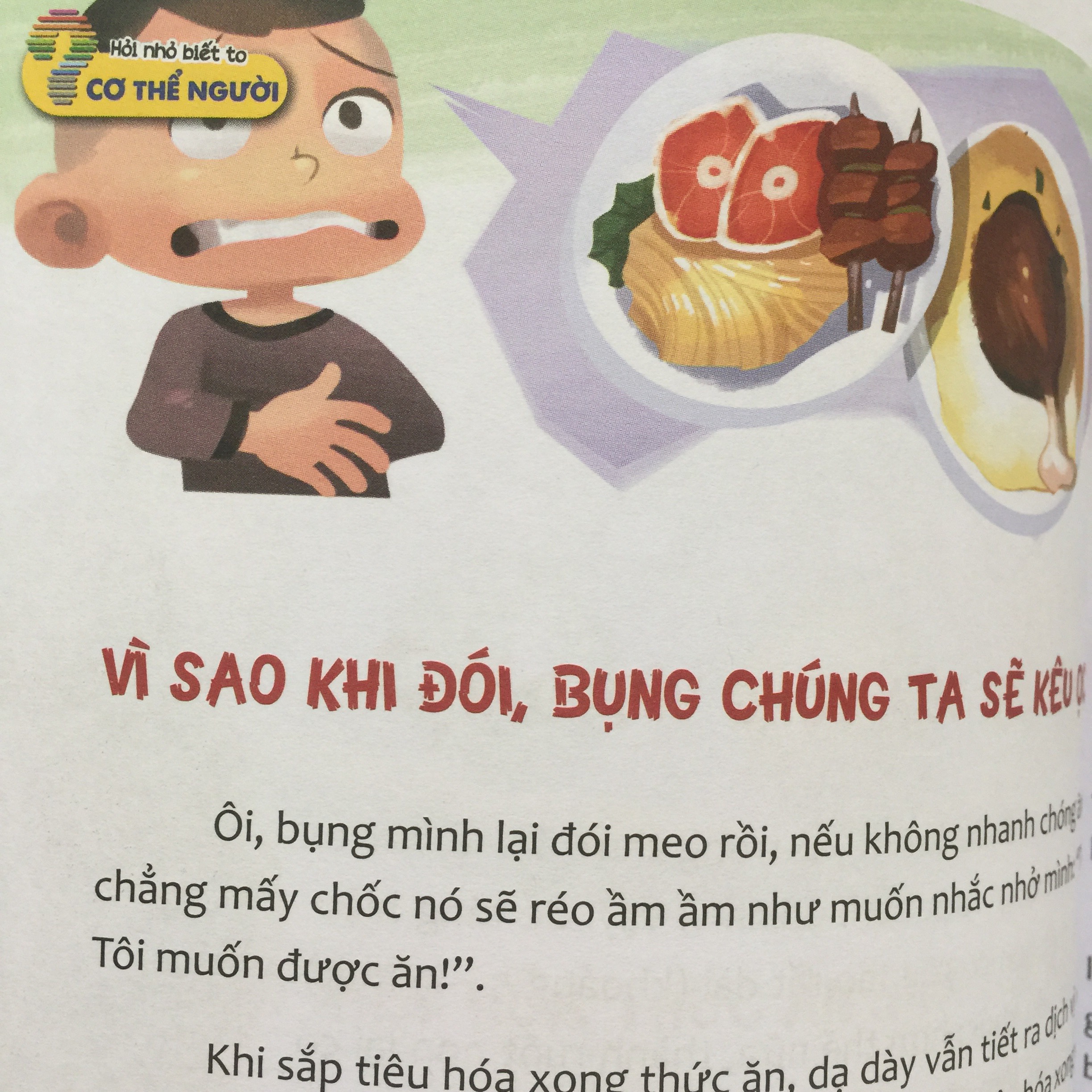 Combo Hỏi Nhỏ Biết To (Bộ 8 Cuốn) 