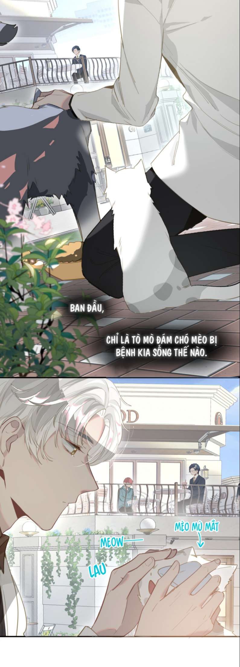 tôi bị điên đó chapter 2 13