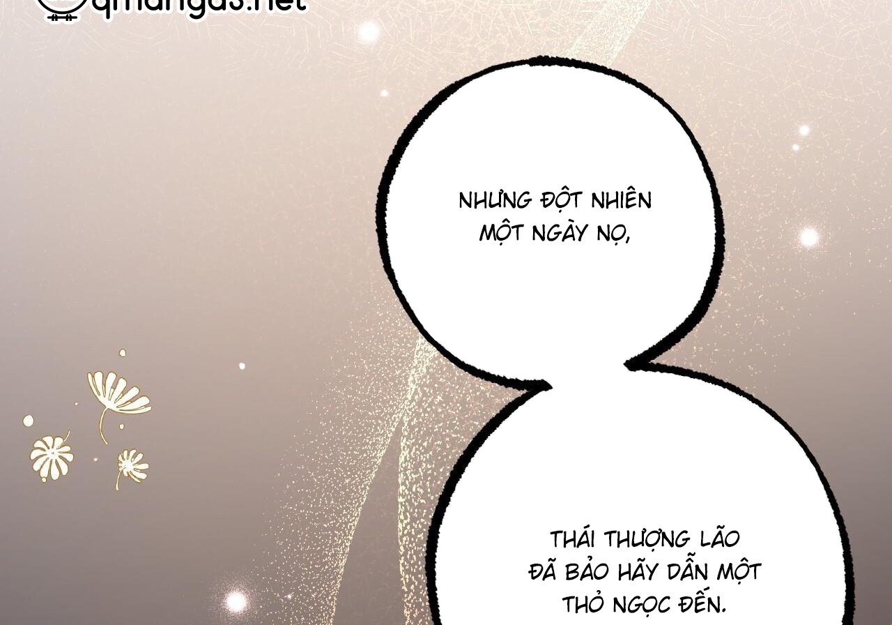 những chú thỏ của hapypy chapter 60 139