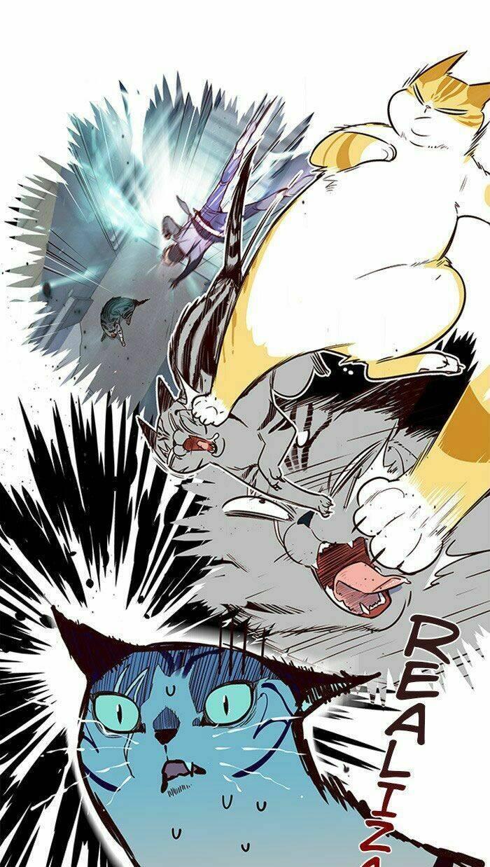 biến thân thành mèo chapter 10 19