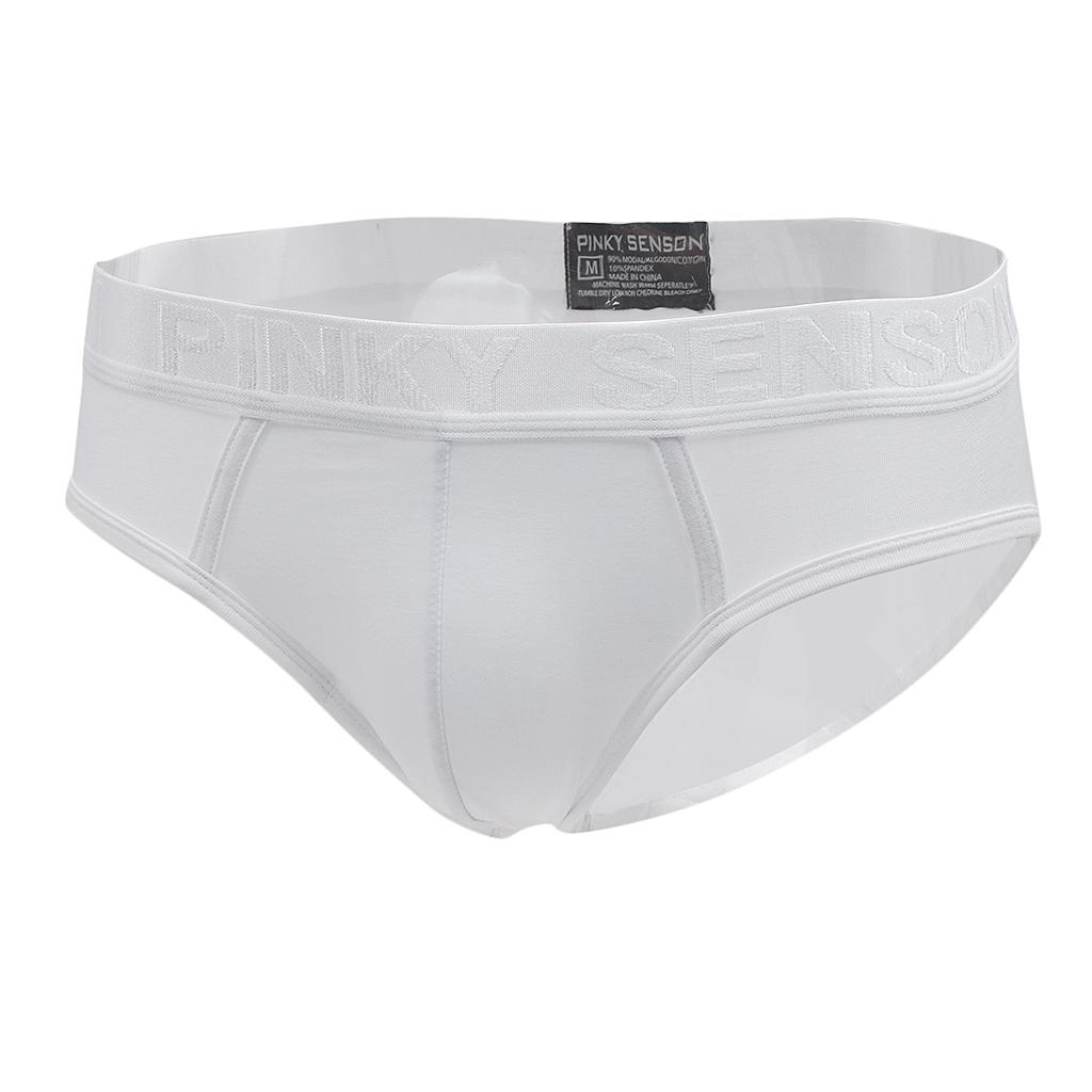 Men's Underwear Low Waist Soft Boxer Briefs Triangle Bulge Pouch Underpants