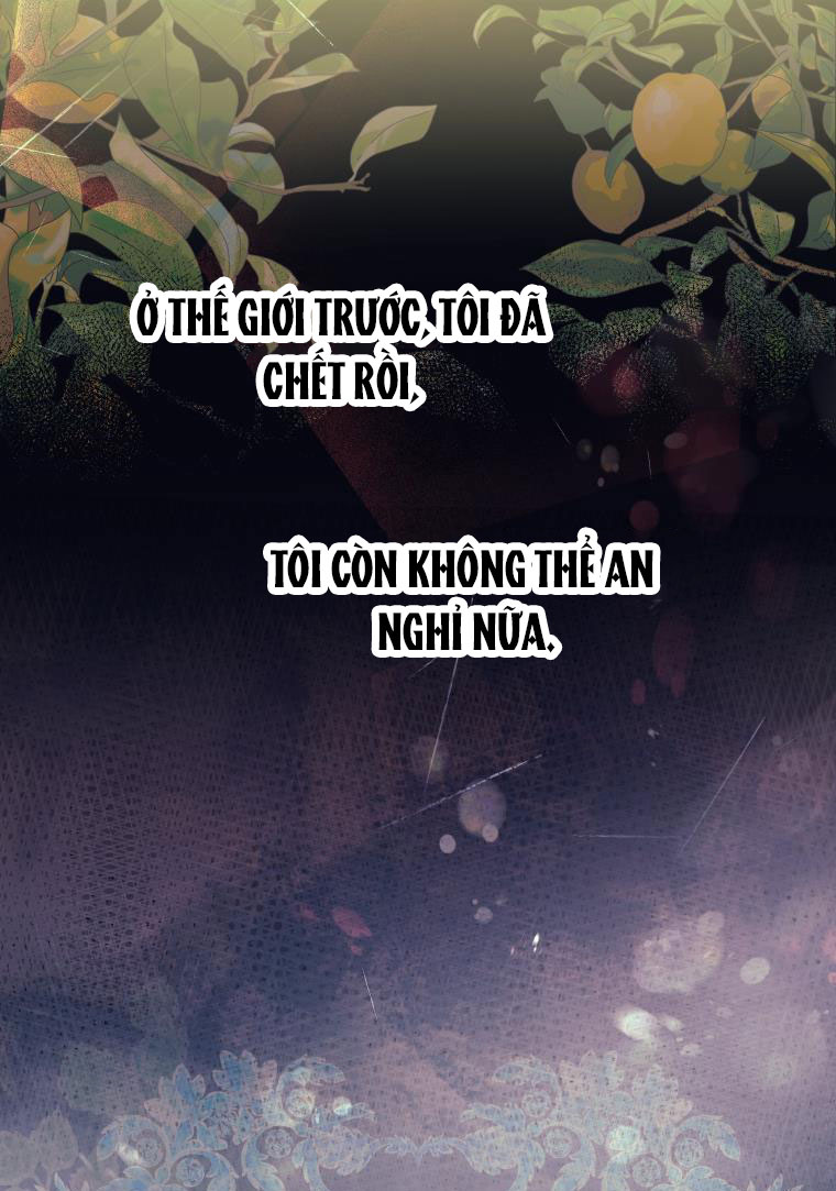 đừng đặt tình cảm mình vào cuốn sách đó chapter 1 37