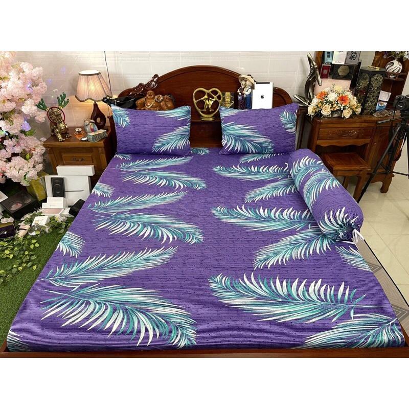 Drap thun hàn quốc