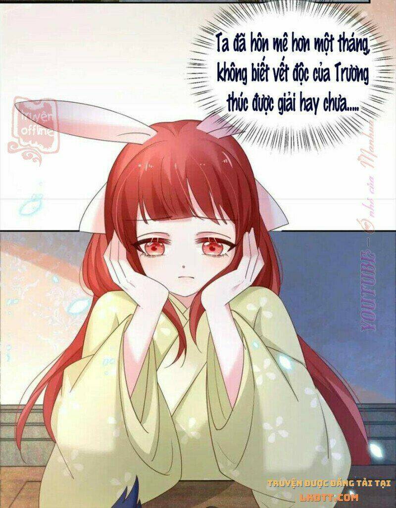 hắc hóa nam chính trực tuyến nuôi thỏ chapter 56 21