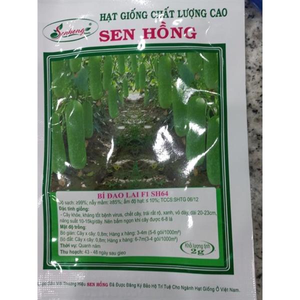 Hạt giống bí đao lai SH64 Sen Hồng 2g