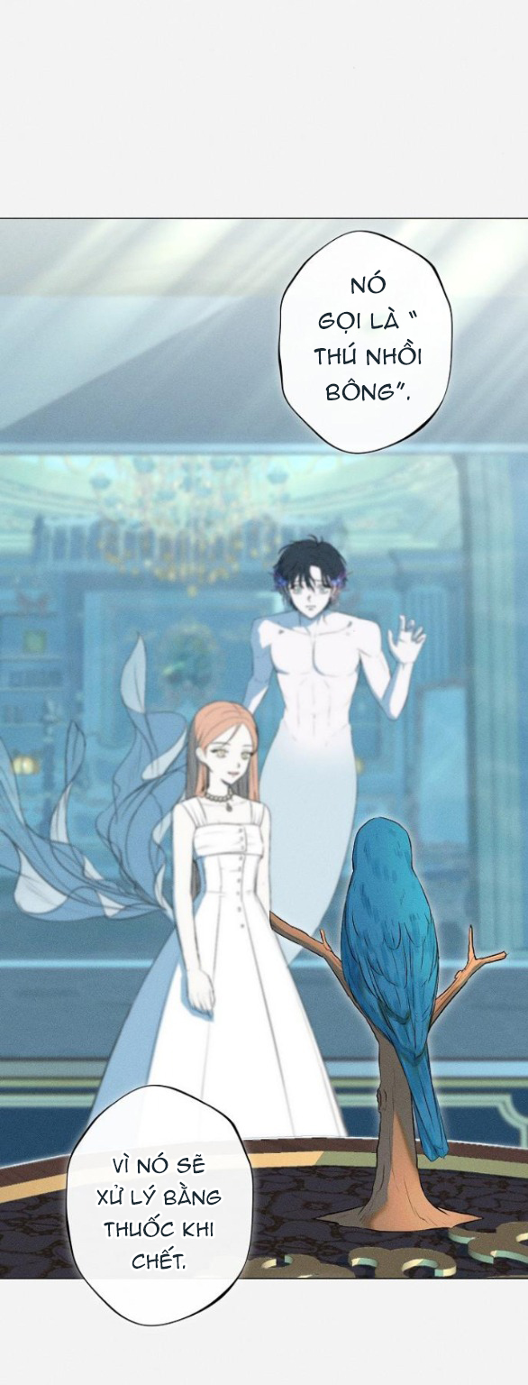 chàng tiên cá mắc kẹt trong hồ của tôi chapter 2.1 27