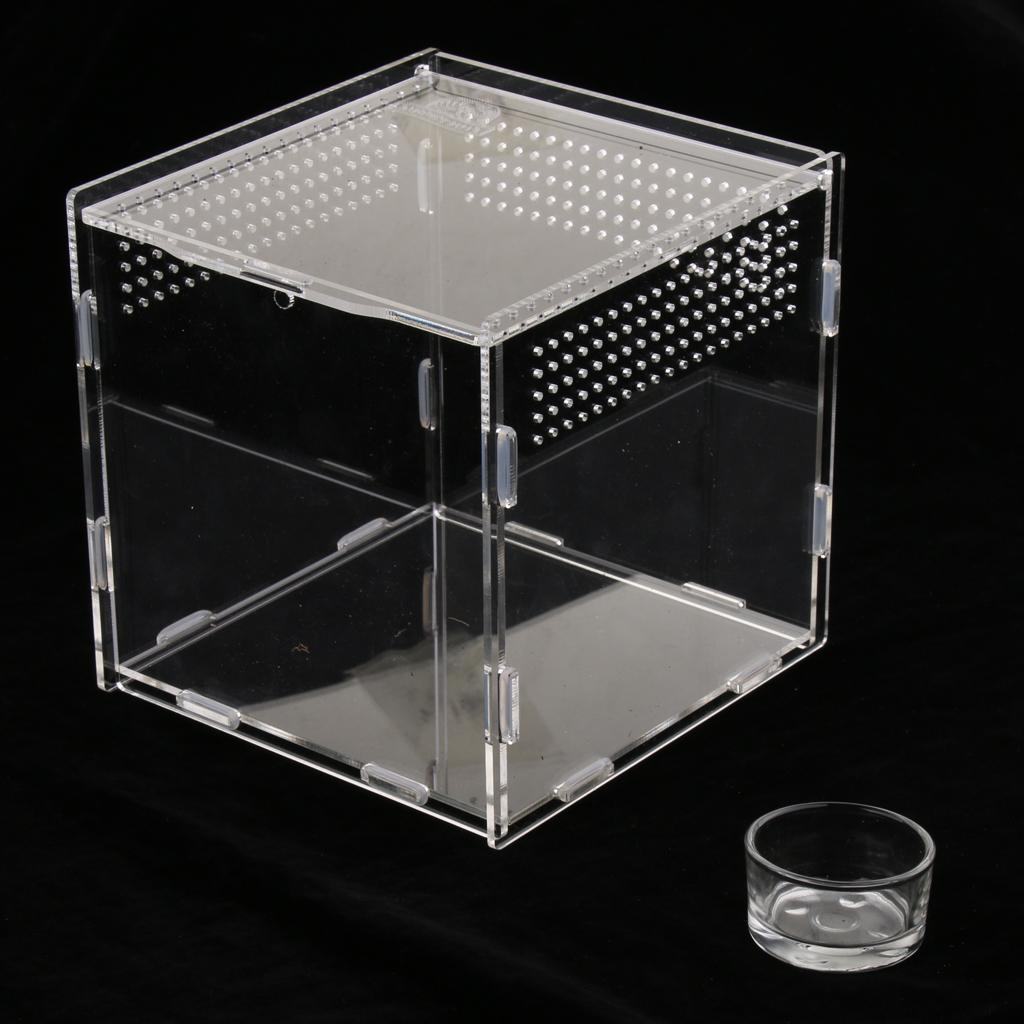 Transparent Acrylic Aquarium Fish Tank Anti-escape Box Reptile Lizaed Spider