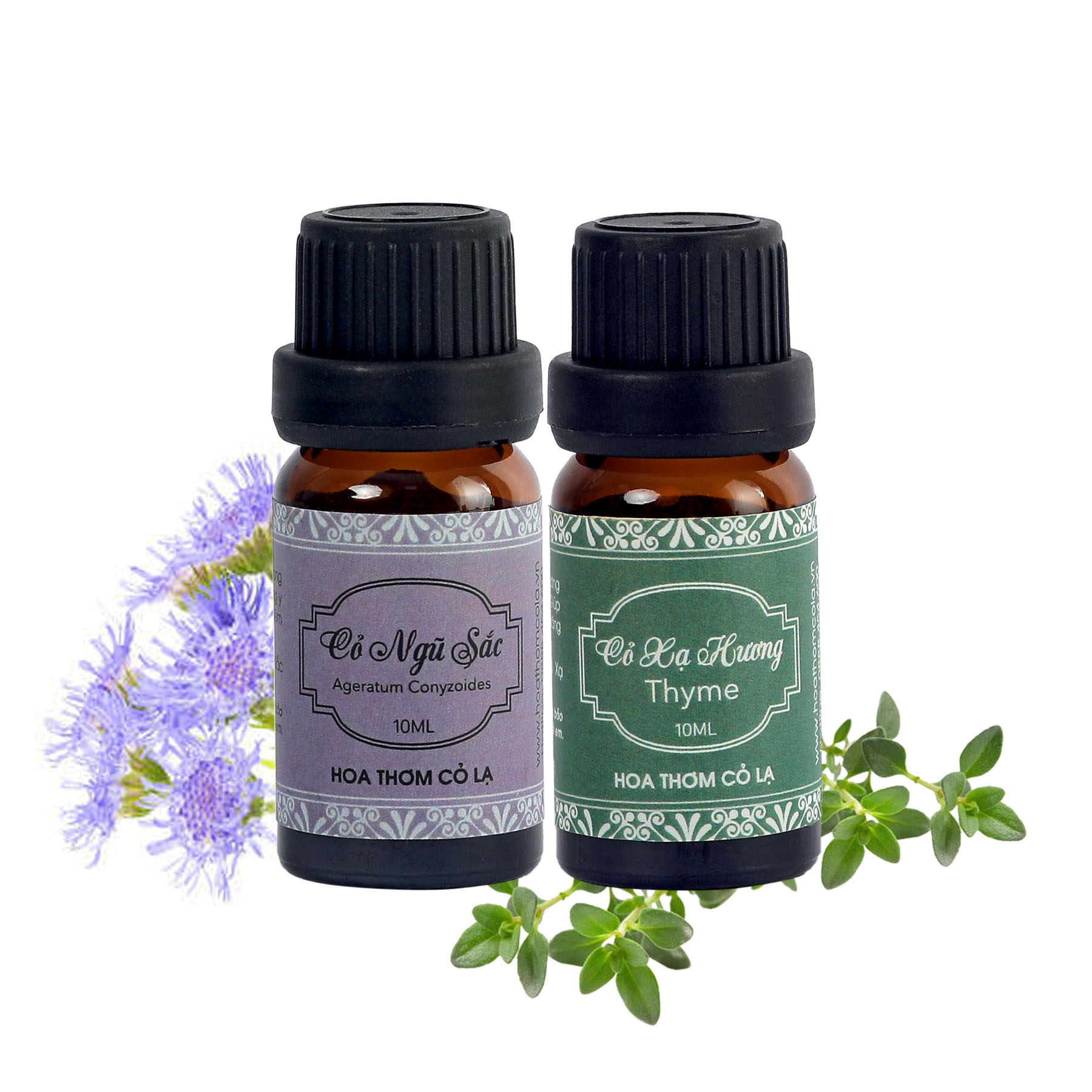 Tinh Dầu Cỏ Xạ Hương - Thyme Essential Oil 10ml - Hoa Thơm Cỏ Lạ