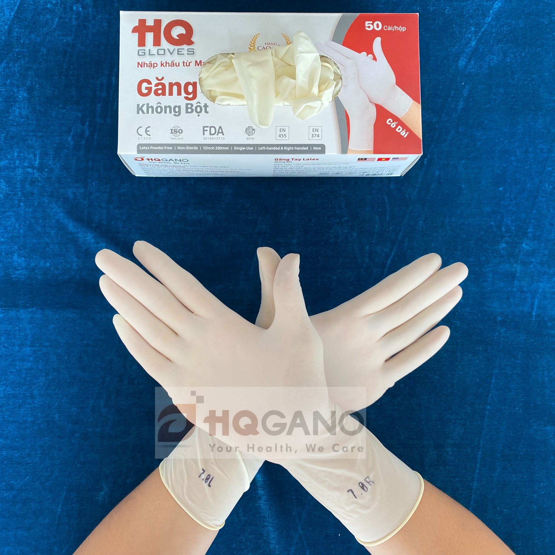 Găng Tay Latex Không Bột HQ Gloves