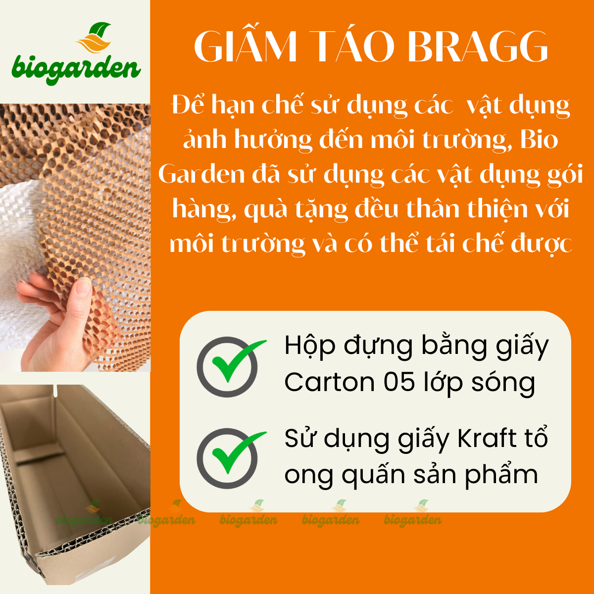 Giấm táo hữu cơ Bragg