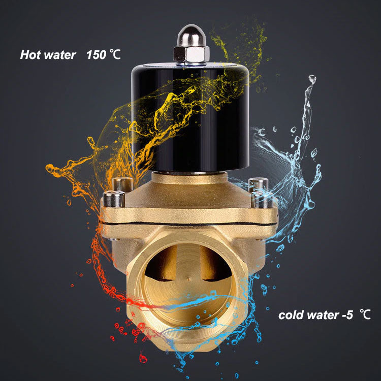 Van điện từ 2W-250-25 24V ren 32mm
