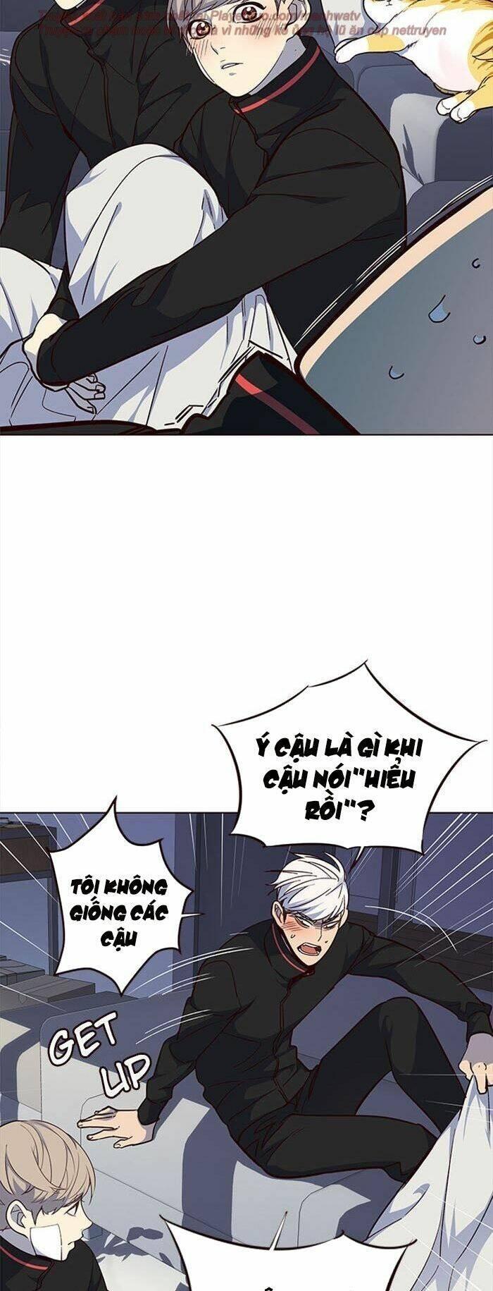 biến thân thành mèo chapter 35 50