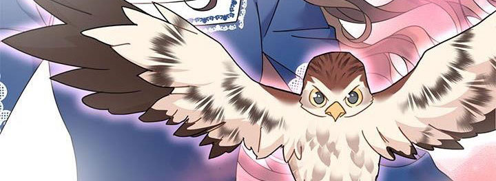 công chúa của loài chim chapter 51.1 265