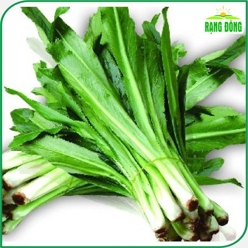 Hạt Giống Ngò Gai (Rau Thơm Mùi Tàu) Dễ Trồng, Sinh Trưởng Tốt (gói 10 gram) - Hạt giống Rạng Đông