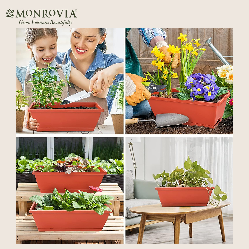 Combo chậu nhựa trồng cây chữ nhật kèm giỏ treo hoa ban công Monrovia, chậu trồng rau, khay trồng rau, trồng hoa