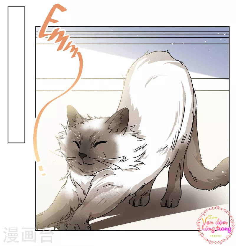 cô ấy đến rồi, xin nằm xuống! chapter 235 3