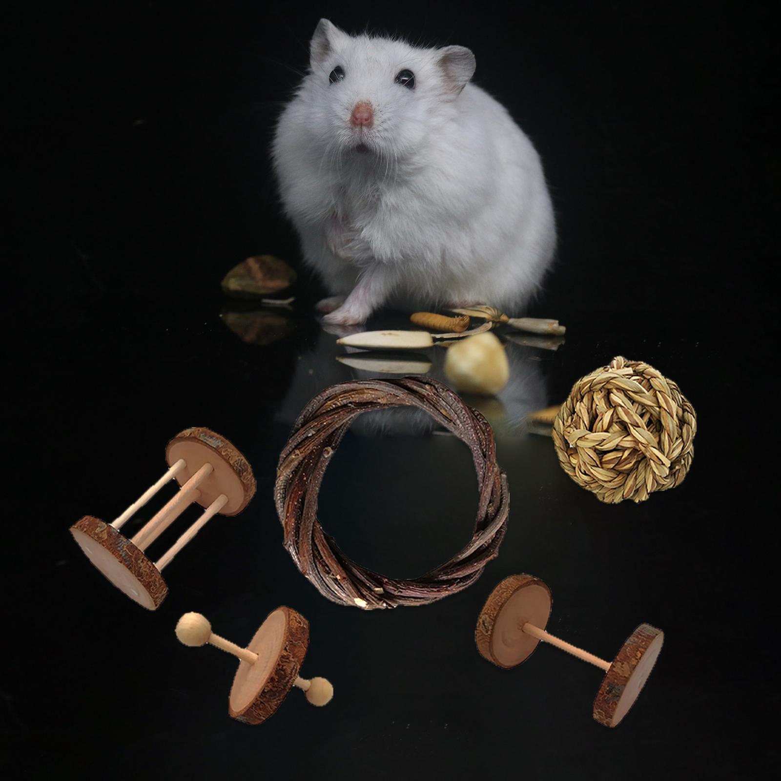 Wooden Hamster Toys Set,Guinea Pig Toys Natural Wood Rabbit Rat Bunny Chinchillas Dwarf Hamsters Chew Toys Treats,Exercise Accessories