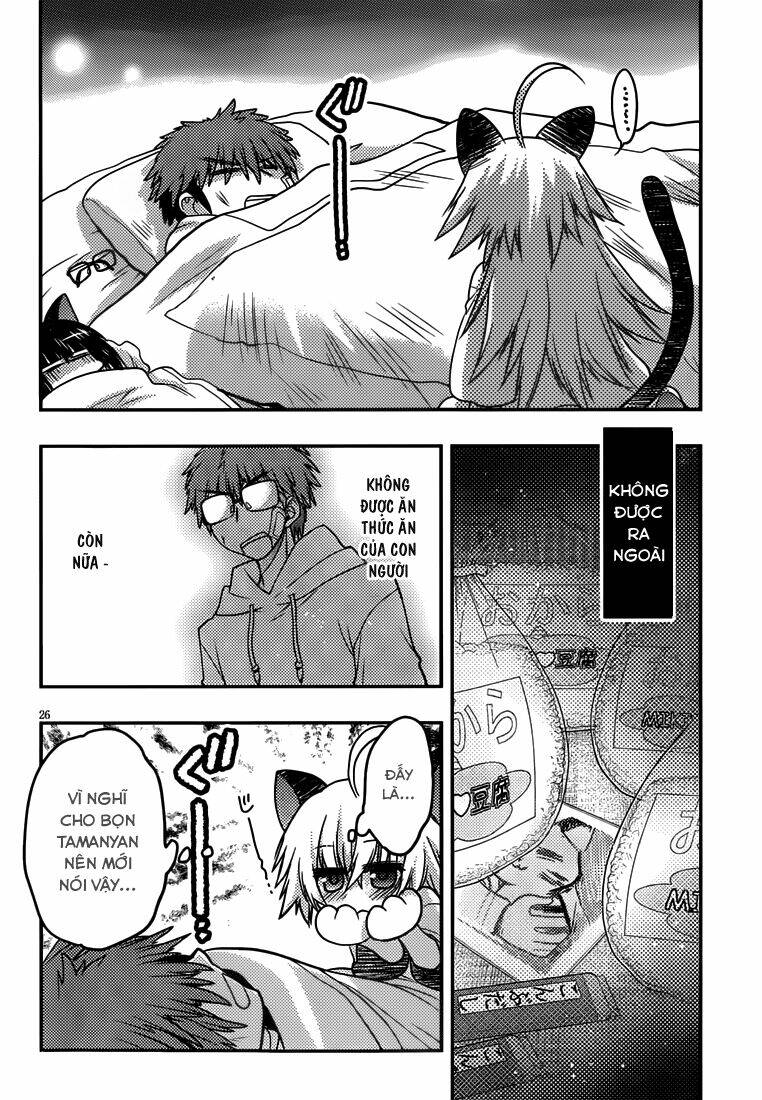 tamanyan chapter 4 27