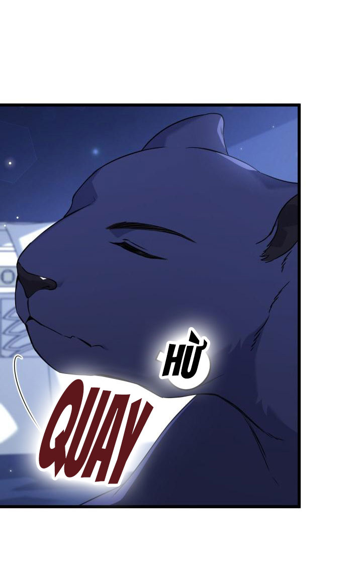 mối liên kết giữa báo đen và bé thỏ chapter 92 23