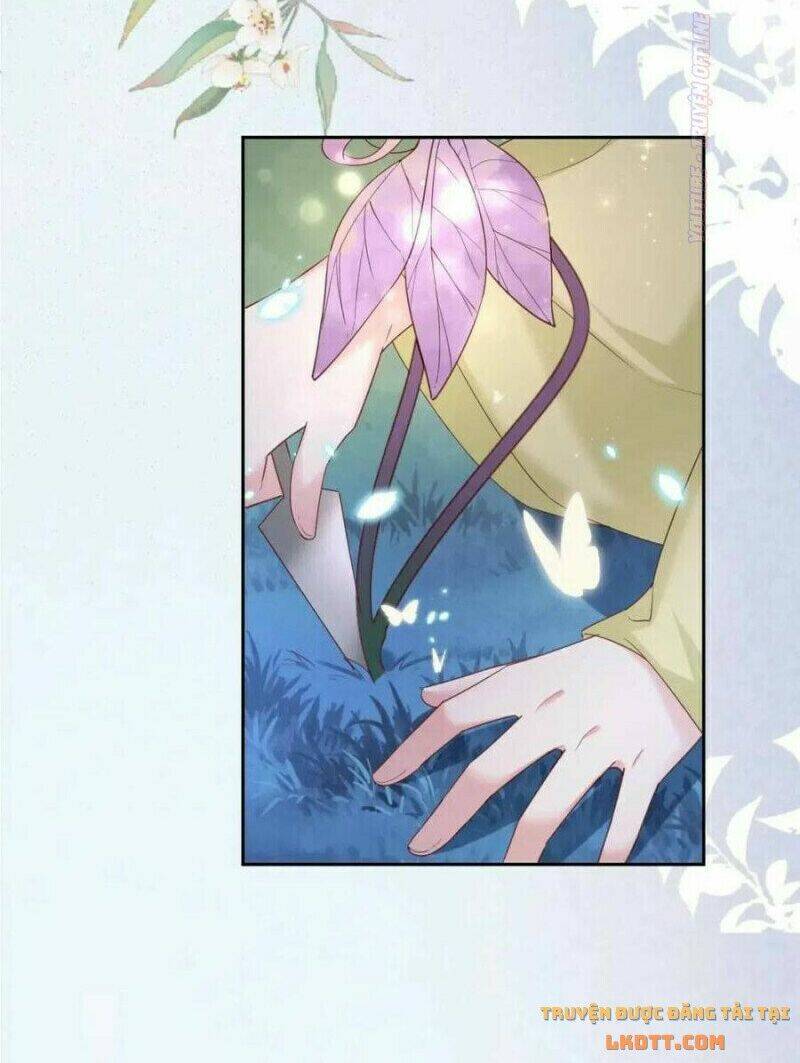 hắc hóa nam chính trực tuyến nuôi thỏ chapter 52 9