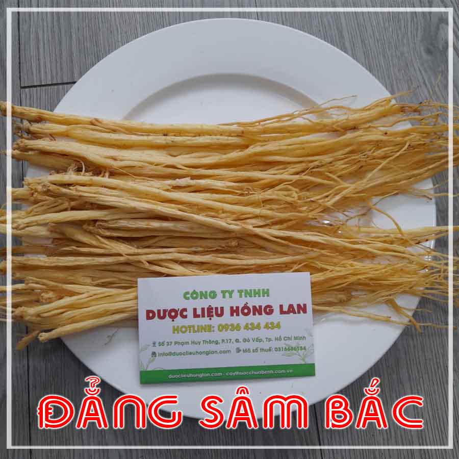 100g Đẳng Sâm Bắc loại 1 loại to đều