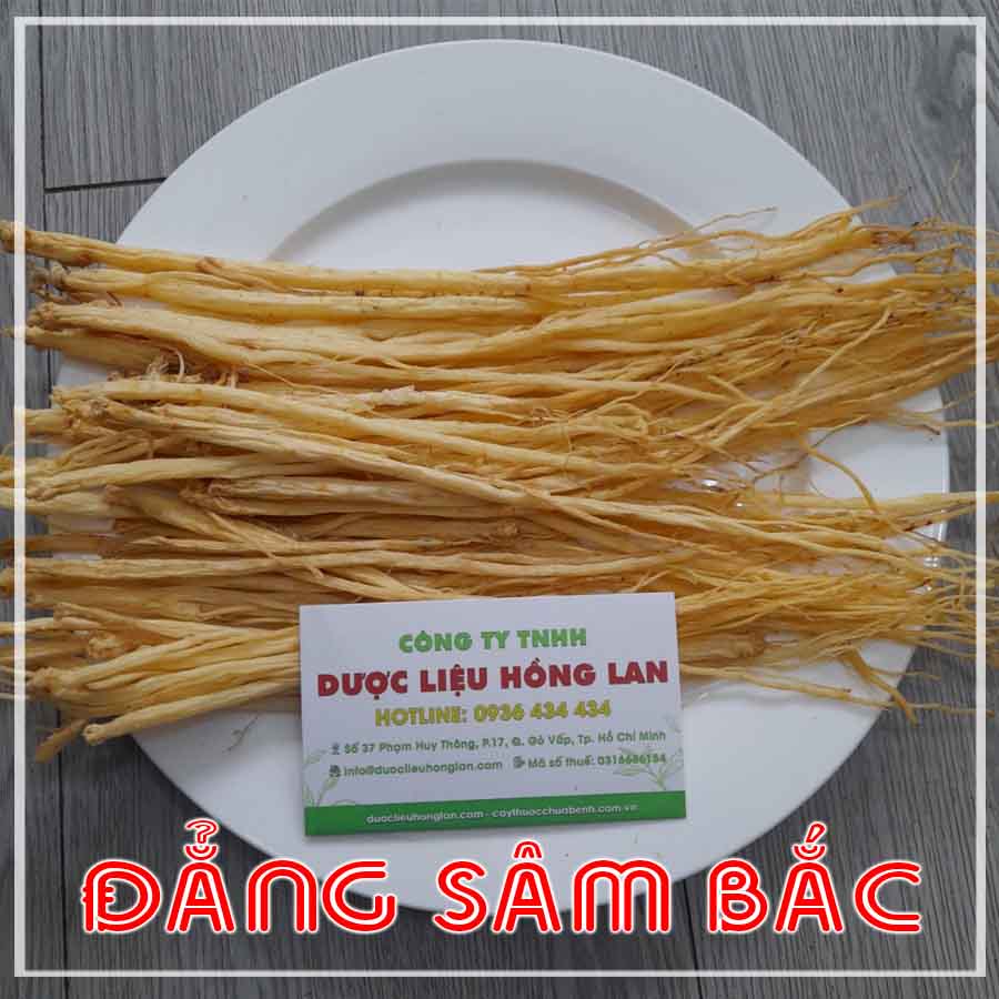 500g Đẳng Sâm Bắc loại 1 loại to đều